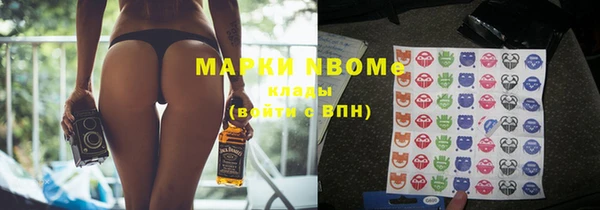 гидра Алексин