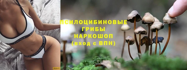 apvp Артём