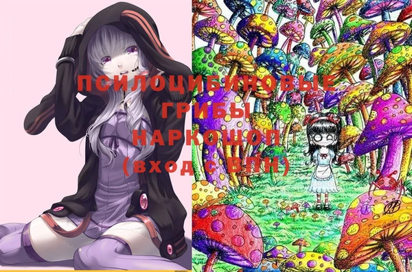 крисы Абинск
