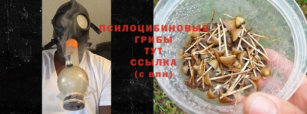 винт Пересвет