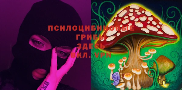 крисы Абинск