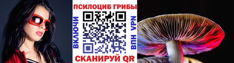 блэк спрут tor  Яровое  Галлюциногенные грибы прущие грибы 
